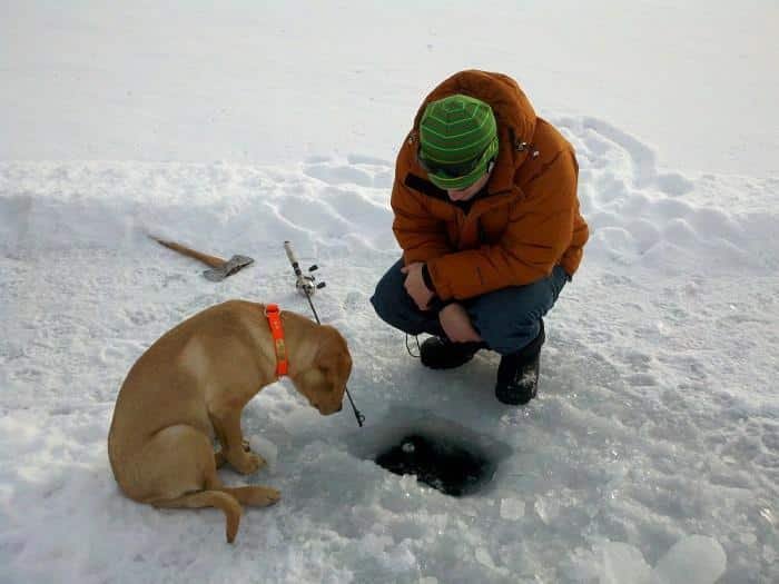 Experience the Thrill of Ice Fishing Live Casino in the UK - overview