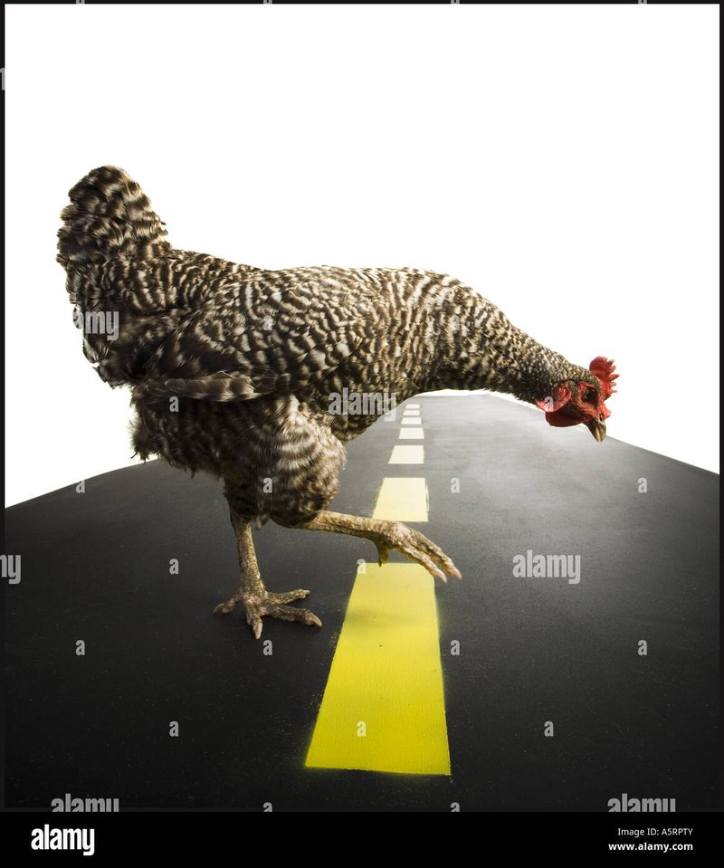 Guida a chicken road demo